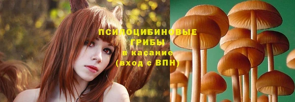 прущие крисы Надым