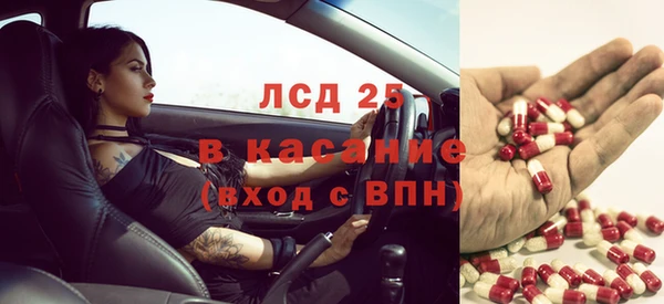 прущие крисы Надым