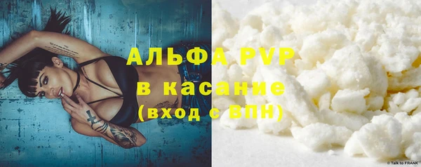 прущие крисы Надым