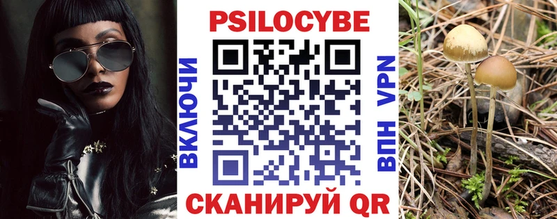 Галлюциногенные грибы Psilocybine cubensis  Коломна 