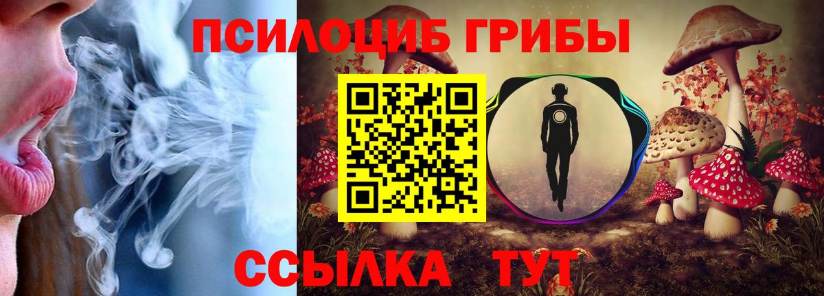 Коломна  Галлюциногенные грибы прущие грибы  Вход с VPN 